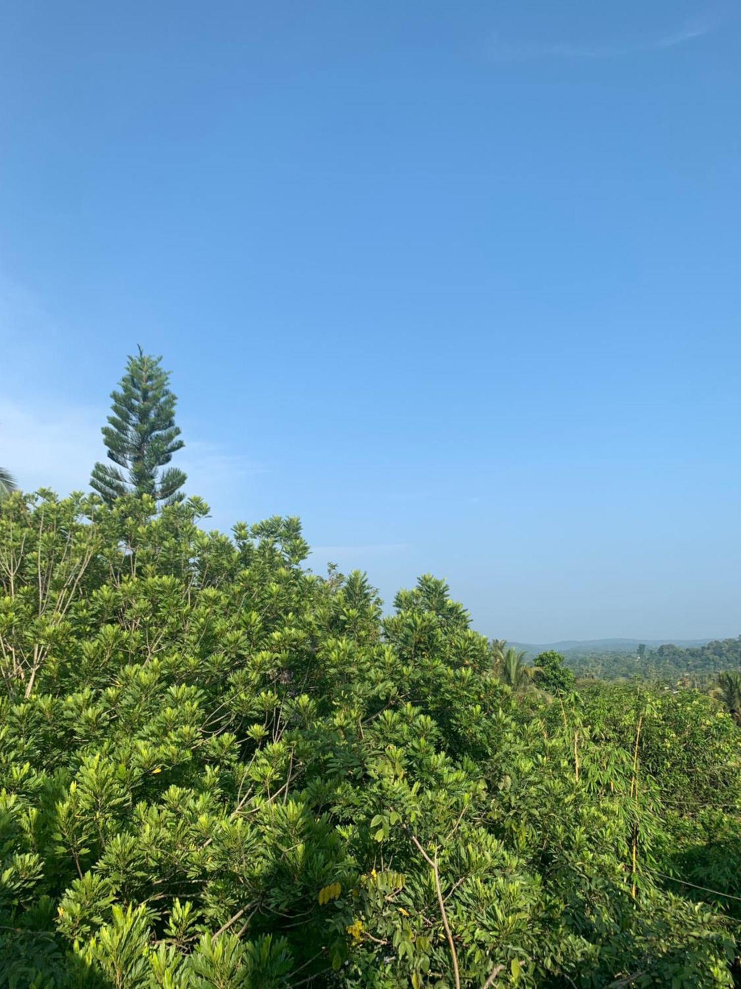 Thaproo Bay Hiriketiya Bed & Breakfast ดิคเวลลา ภายนอก รูปภาพ